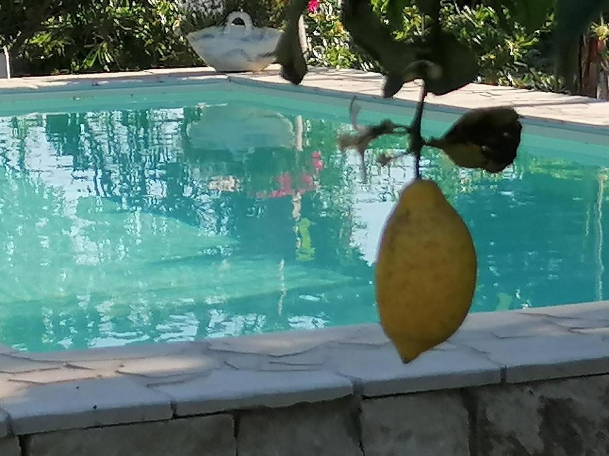 فندق Oasi Di Campagna موديكا المظهر الخارجي الصورة
