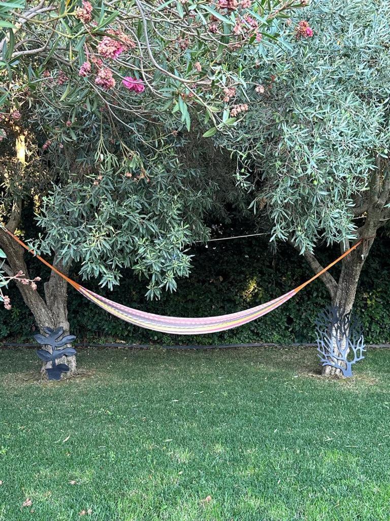 فندق Oasi Di Campagna موديكا المظهر الخارجي الصورة